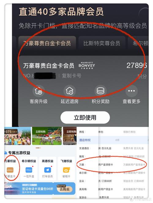 财富半岛入会员怎么弄