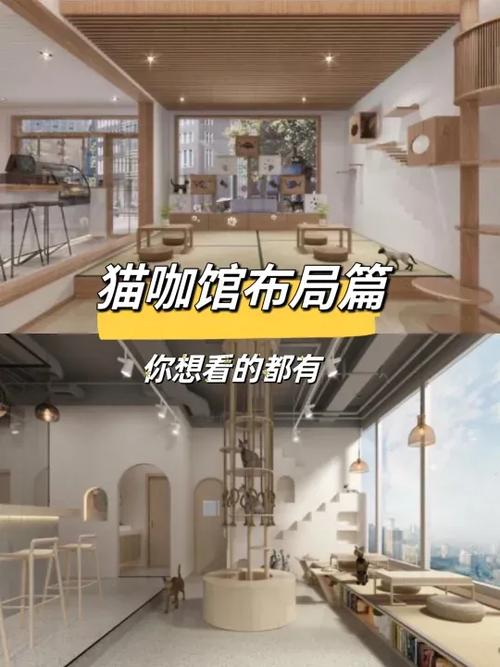 猫咖攻略