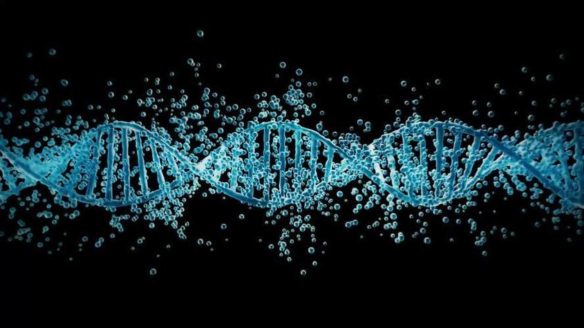 dna