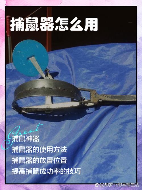 老鼠怎么给装备