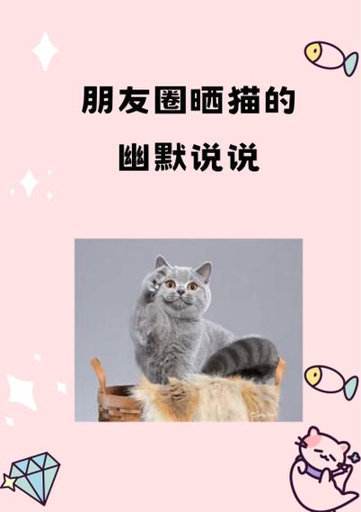 一句简单的晒猫句子