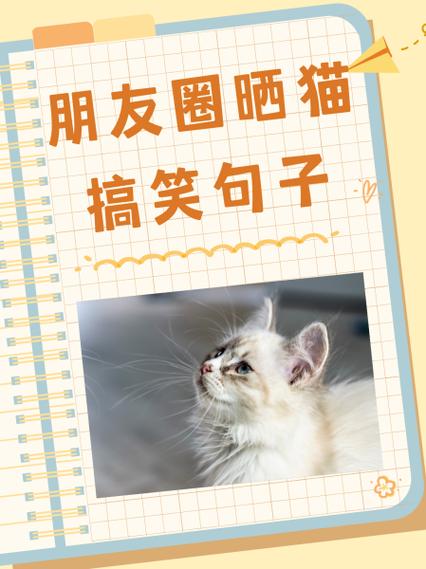 一句简单的晒猫句子截图2