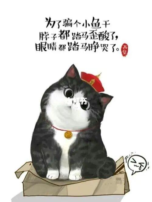 一句简单的晒猫句子截图3