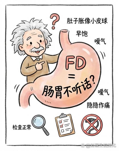 什么叫做功能性