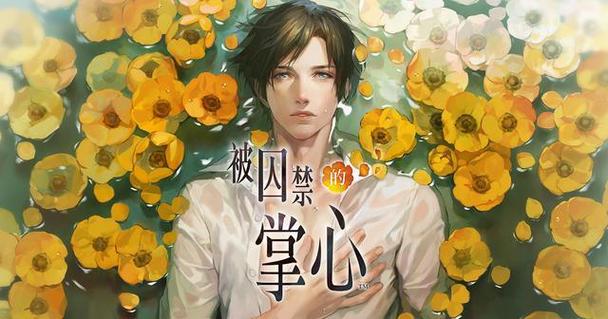 囚禁于掌心的你2破解