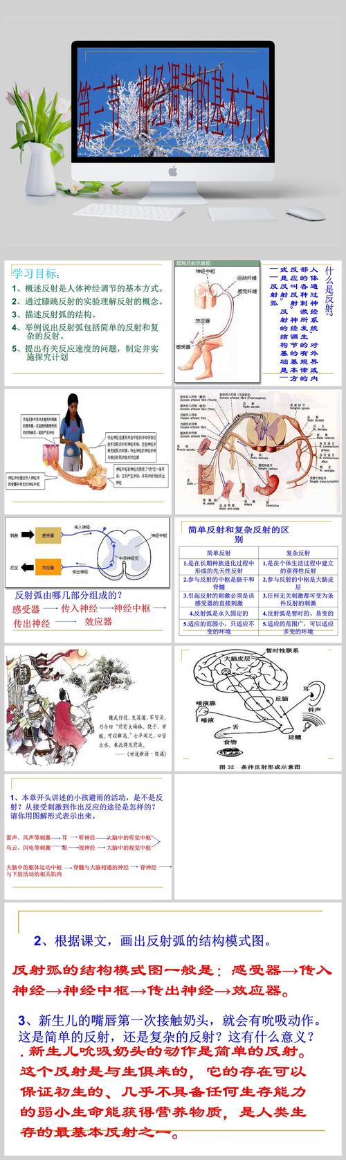 男生主动分手反射弧长