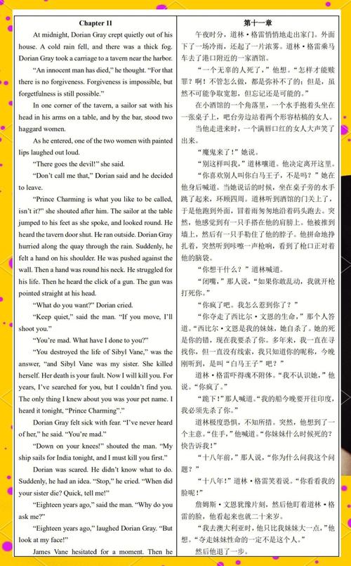 猎杀黑暗者英语翻译
