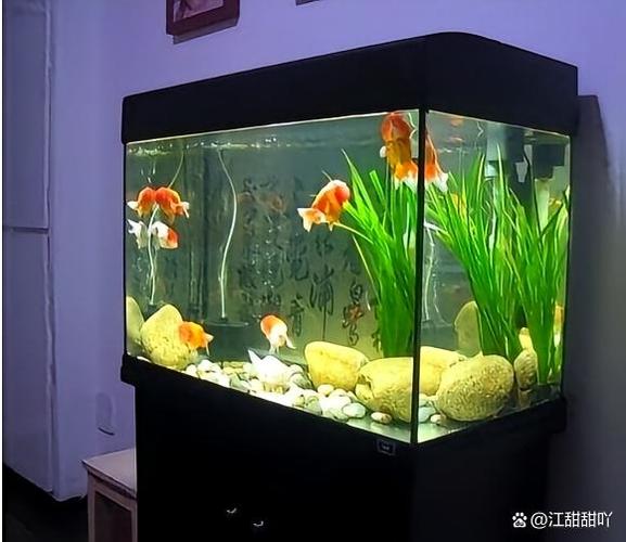 鱼缸水怎么计算多少升截图2