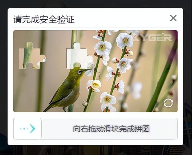 用手机验证码登陆安全吗