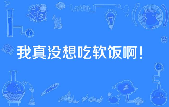 我真不想吃软饭
