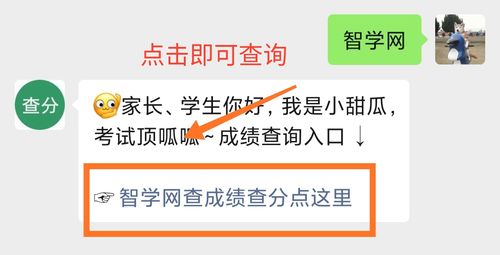 学智网成绩查询 学智网成绩查询