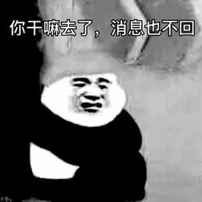 半天回一条消息的表情动图