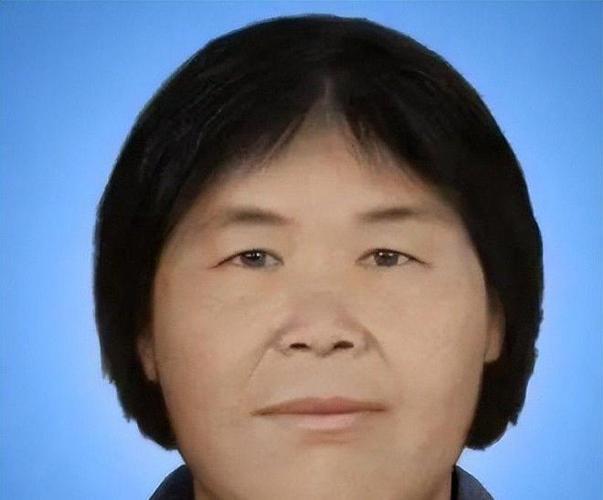 梅姨简介
