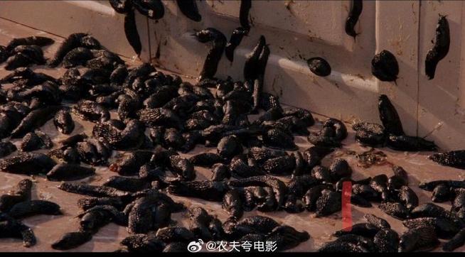 蛞蝓之灾剧情简介