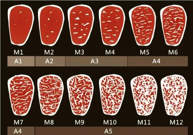 牛肉a4和a5的区别
