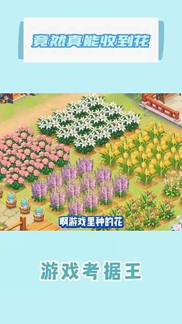 游戏玩出花最新免广告版