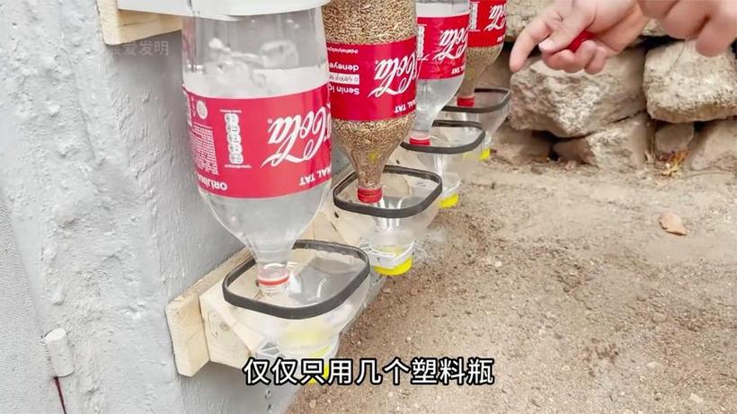 塑料桶改装成喂鸡桶