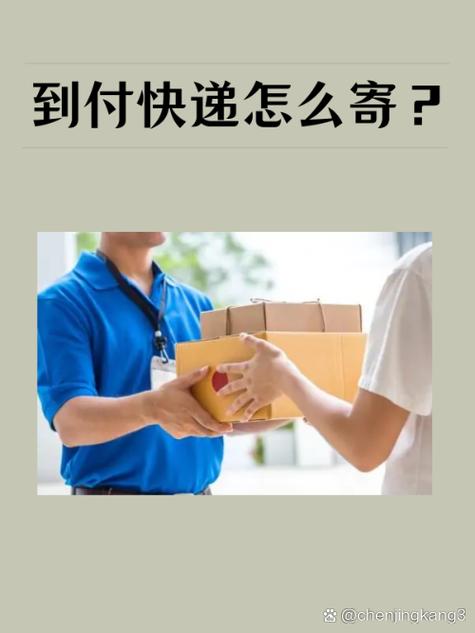 可以寄到付的快递公司截图2