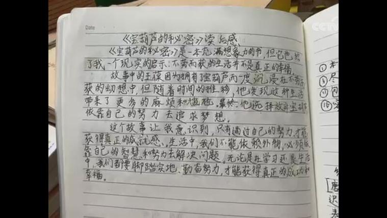 宝葫芦的秘密概括50字