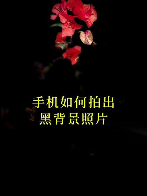 苹果手机怎么拍黑色背景照片
