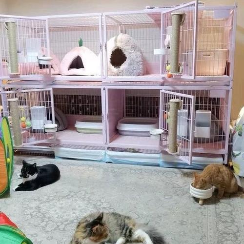 宠物店猫笼子推荐