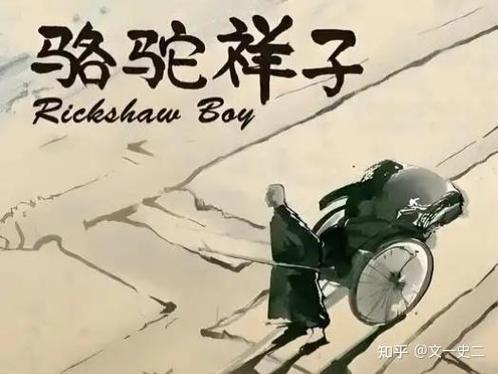 祥子为什么叫骆驼截图3