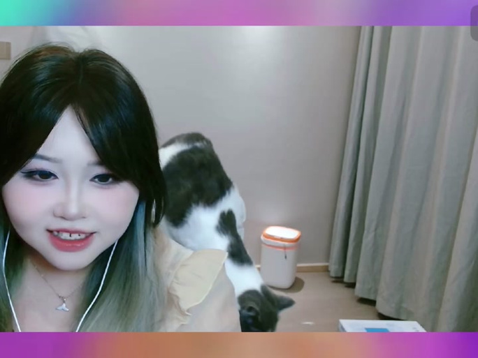 猫猫恐龙岛解说