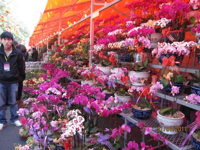 广东花木市场在哪里