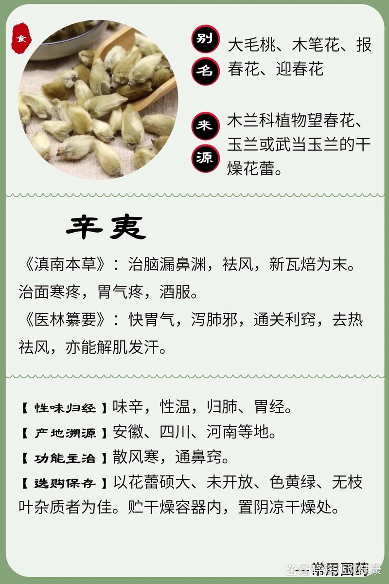 中药辛夷功效主治用法用量