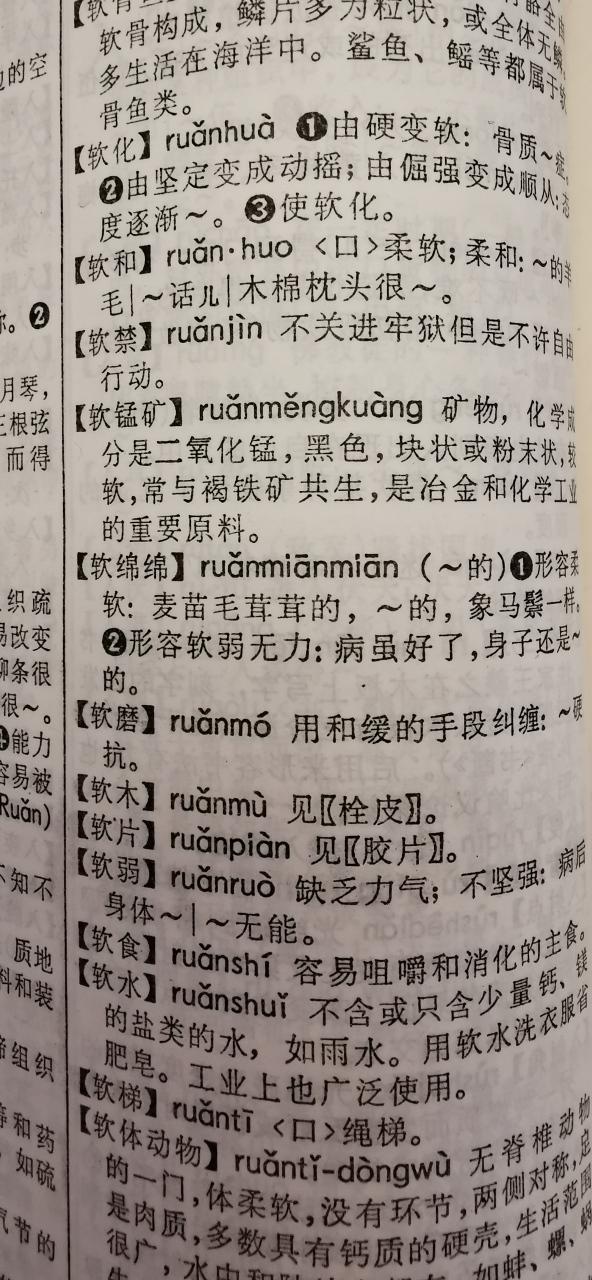 绵绵何其软第二章