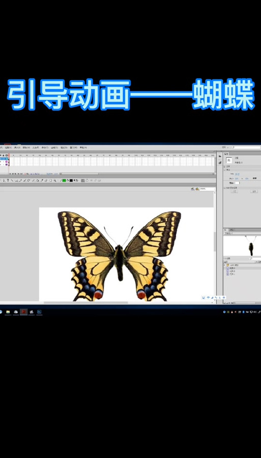 AN制作引导动画教程