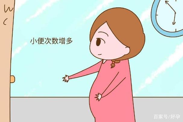 《小小肚皮》1-3集字幕