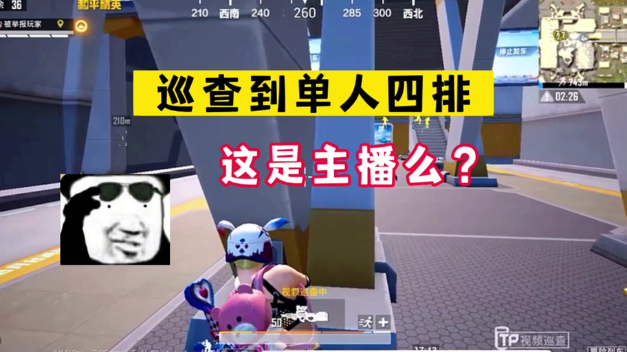 和平精英审查员