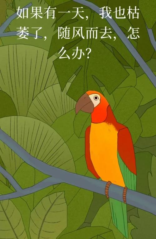 小鸟治愈人心的句子