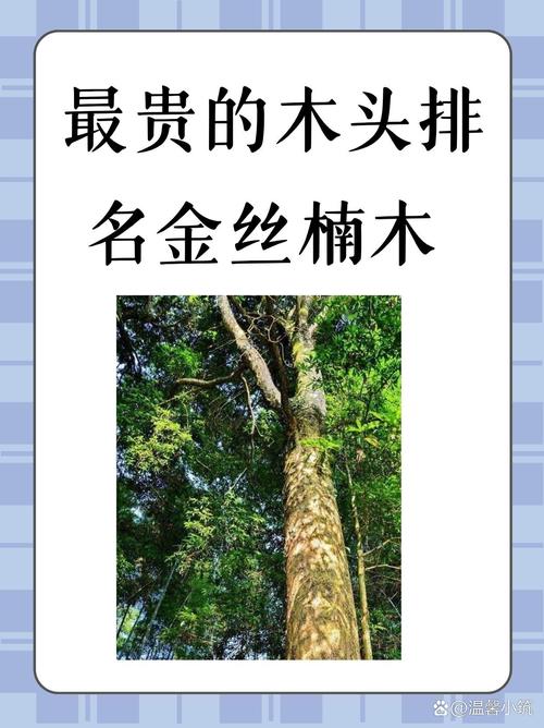 最贵的木头排名金丝楠木