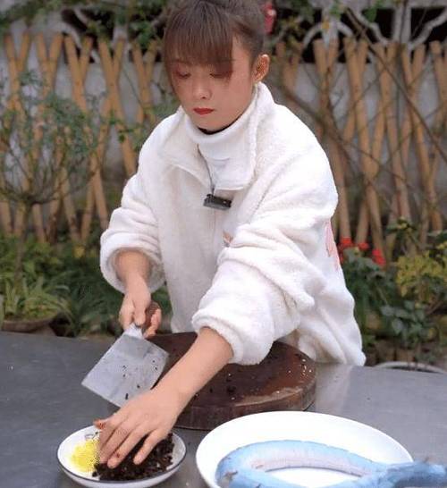 爱做饭的小厨娘