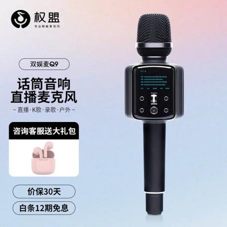 自带音响一体的麦克风价格