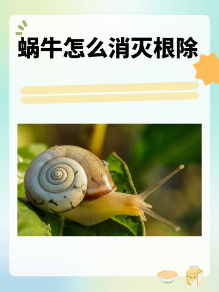 消灭蜗牛最简单的方法截图3