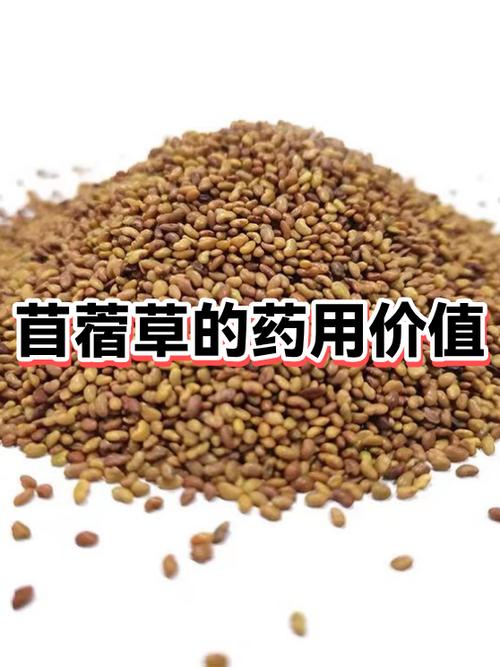 苜蓿草成分含量截图2