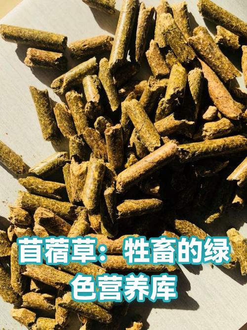 苜蓿草成分含量截图3