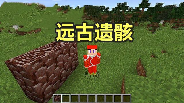 在下界为什么会被猪灵打