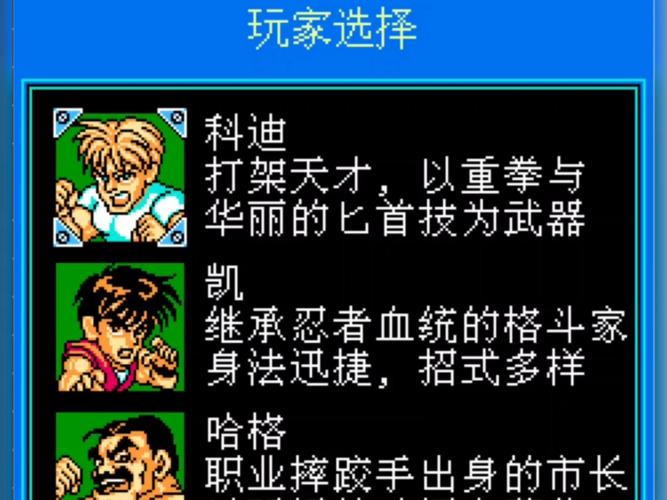fc快打旋风作弊码