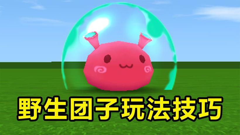 迷你世界团子会跟着人吗截图3