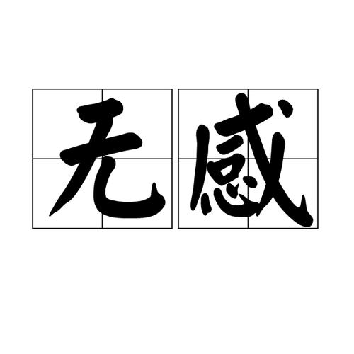 无感同屏怎么安装