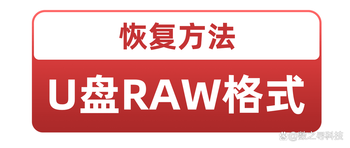 u盘变成了raw怎么修复