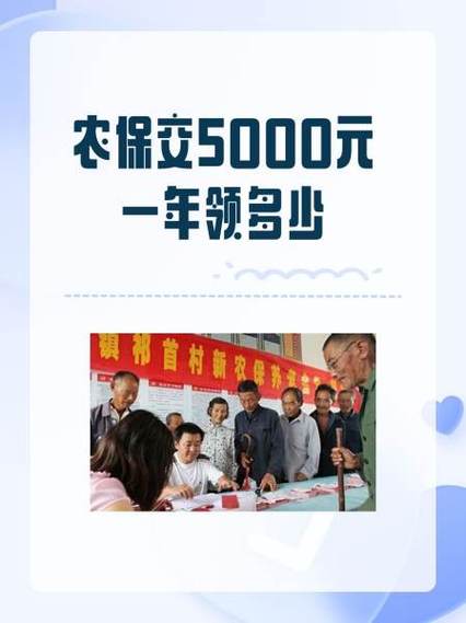 安徽农保交6000元20年