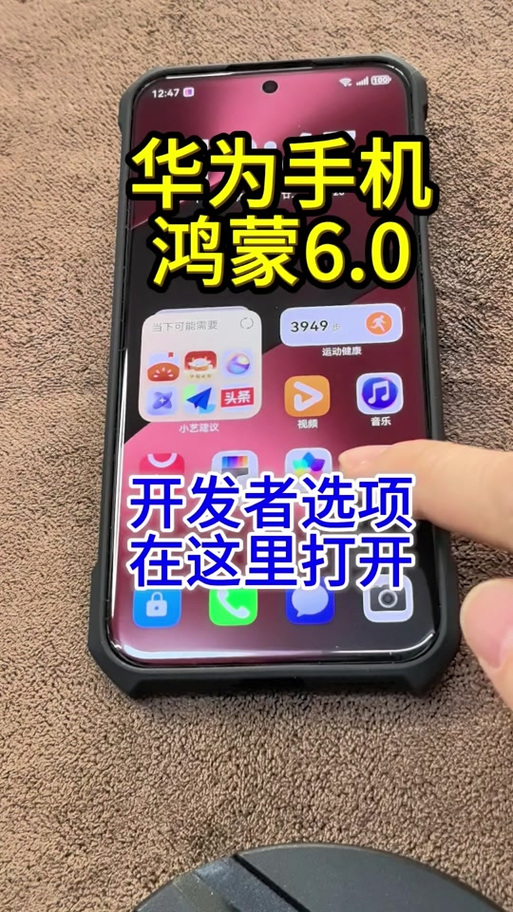 鸿蒙6.0开发者选项在哪里