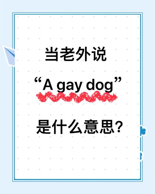 ovo在圈内啥意思