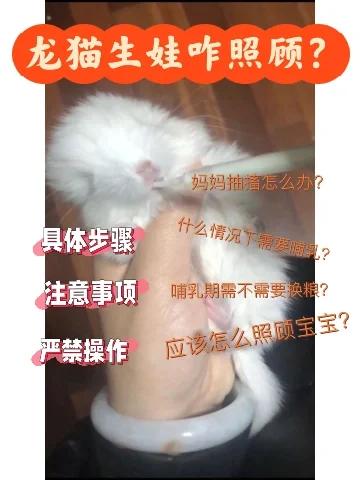 龙猫育儿袋