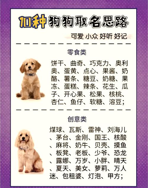 狗狗名字